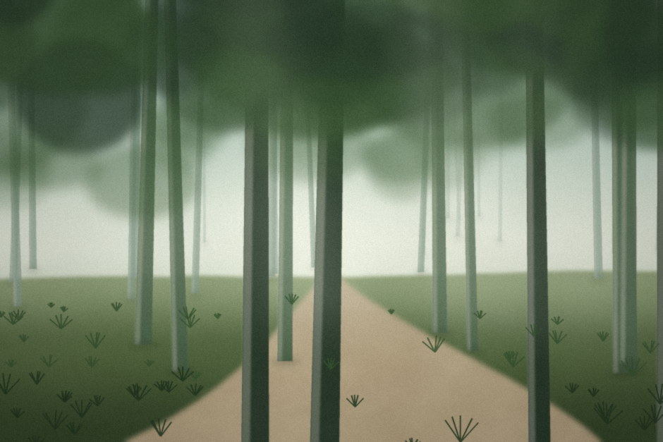 A narrow path running through a misty pine forest.